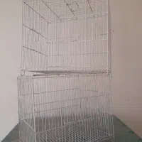 قفس سهره سالم