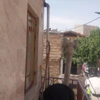 فروش-یک-باب-خانه-مسکونی-درقاسم-اباد-بزرگ