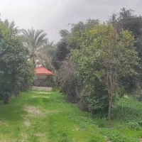 فروش-باغ-با-سند-تک-برگ