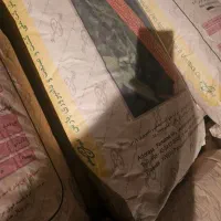 بذر ذرت اورجینال بذر 704کشت و صنعت پارس