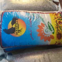 تخمه سایز 170