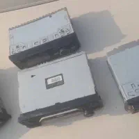 ظبط