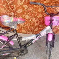 دوچرخه 20