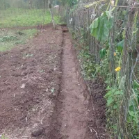 اجرای کار ساختمانی بنایی سیمانکاری. ارماتوربندی