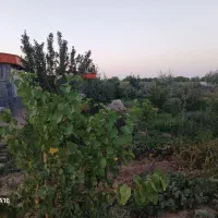 باغ هاشیه جاده مطرانلو ۳۶۳۰متر