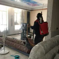 موریانه زدایی اصولی و سمپاشی کامل ساس باضمانت کتبی