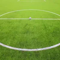 بازیکن چمن هستم هم‌بازی