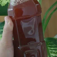 آبغوره امسالی درجه ۱