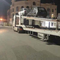 اسقاطی.سالم  . سوخته .تصادفی.