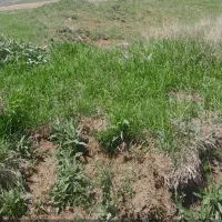 یک-قطعه-باغ-در-روستای-کزبر