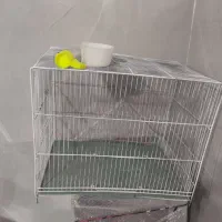 قفس پرنده