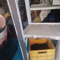 استند فلزی