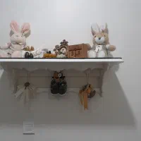 شلف دیواری بسیار زیبا