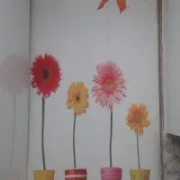 پرده زبرا قابل شستشو پرده ریسه ای یا پرده آویز