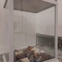 آکواریم