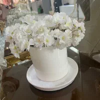 گلدان و گل نو