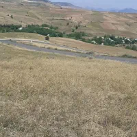 زمین باغی زراعی