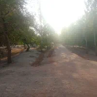 زمین پارکینگ و زمین ۲۰۰۰۰ متر در ناژوان