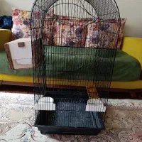 قفس بزرگ برای عروس هلندی و....