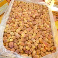 خرمای زاهدی