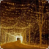 ریسه سوزنی10و25و50متری سیم سفید ریسه مفتولی5متری