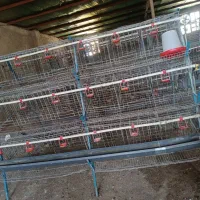 قفس مرغ تخمگذار