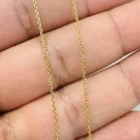 طلای پیدا شده