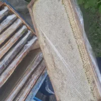 عسل طبیعی