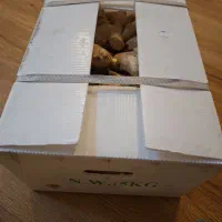 زنجبیل تازه چینی آبدار پنج کیلویی