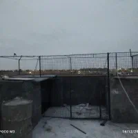 دام‌طور‌کبوتر