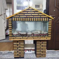 یک عدد آکواریوم چوبی