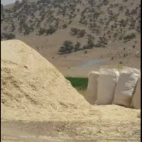 کاه گندم