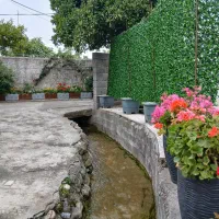 اجاره روزانه و شبانه ویلا۲خواب جنگلی  نوشهر