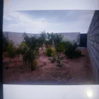 فروش-باغ-حاجی-آباد