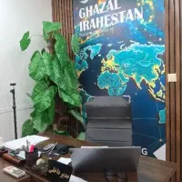 کارشناس فروش تلفنی