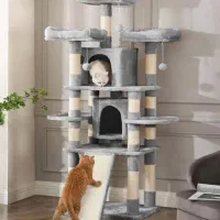 خونه درختی گربه/ اسکرچر