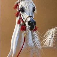 اسب نریان کرد سواری دار