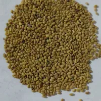 بزریونجه اصلاح
