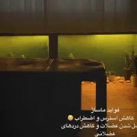 خدمات ماساژ ب صورت تخصصی با کمترین هزینه