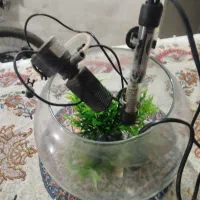 آکواریوم