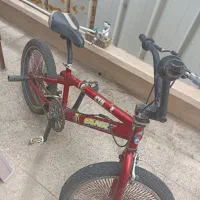 دوچرخه حرفه ای
