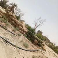 بهده با الف خوشک