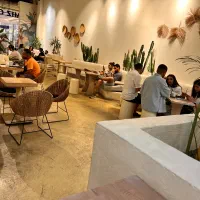 استخدام در کافه