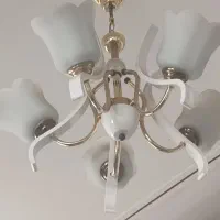 لوستر|لوستر و چراغ آویز|یزد, |دیوار