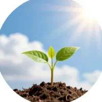 نمایندگی کود ارگانیک