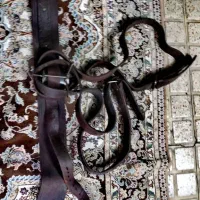 هیکلی چرم علامت