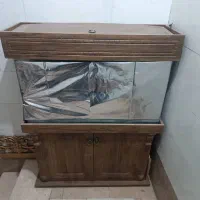 اکواریوم ام دی اف