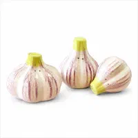 نمکدان سرامیکی طرح سیر 3عددی