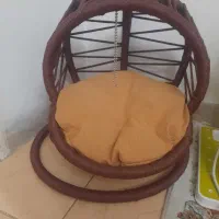 تاب ریلکسی گربه و سگ