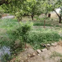 خانه باغ  ۶۰۰ متری در روستایی آرام و دنج